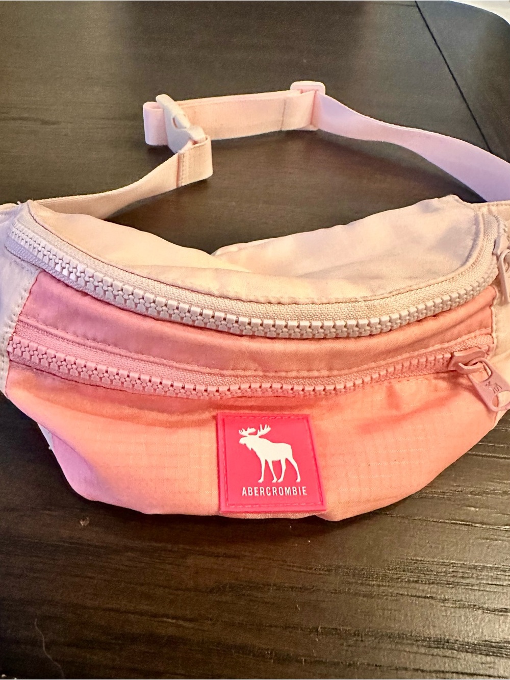 Abercrombie & Fitch Pink Ombre Kids Waist Bag Fanny Pack